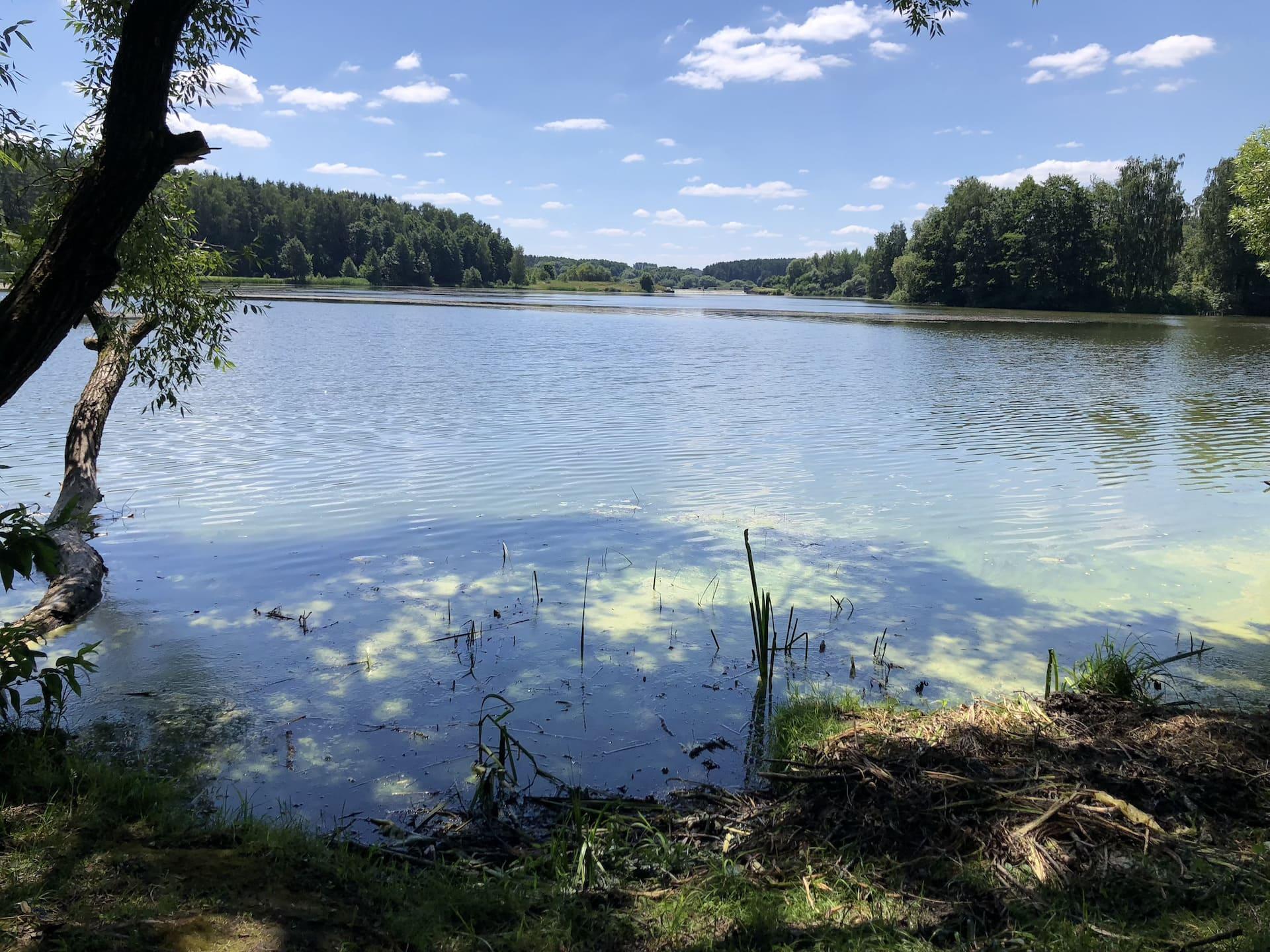 Beach No. 7 at the Drozdy Reservoir 2