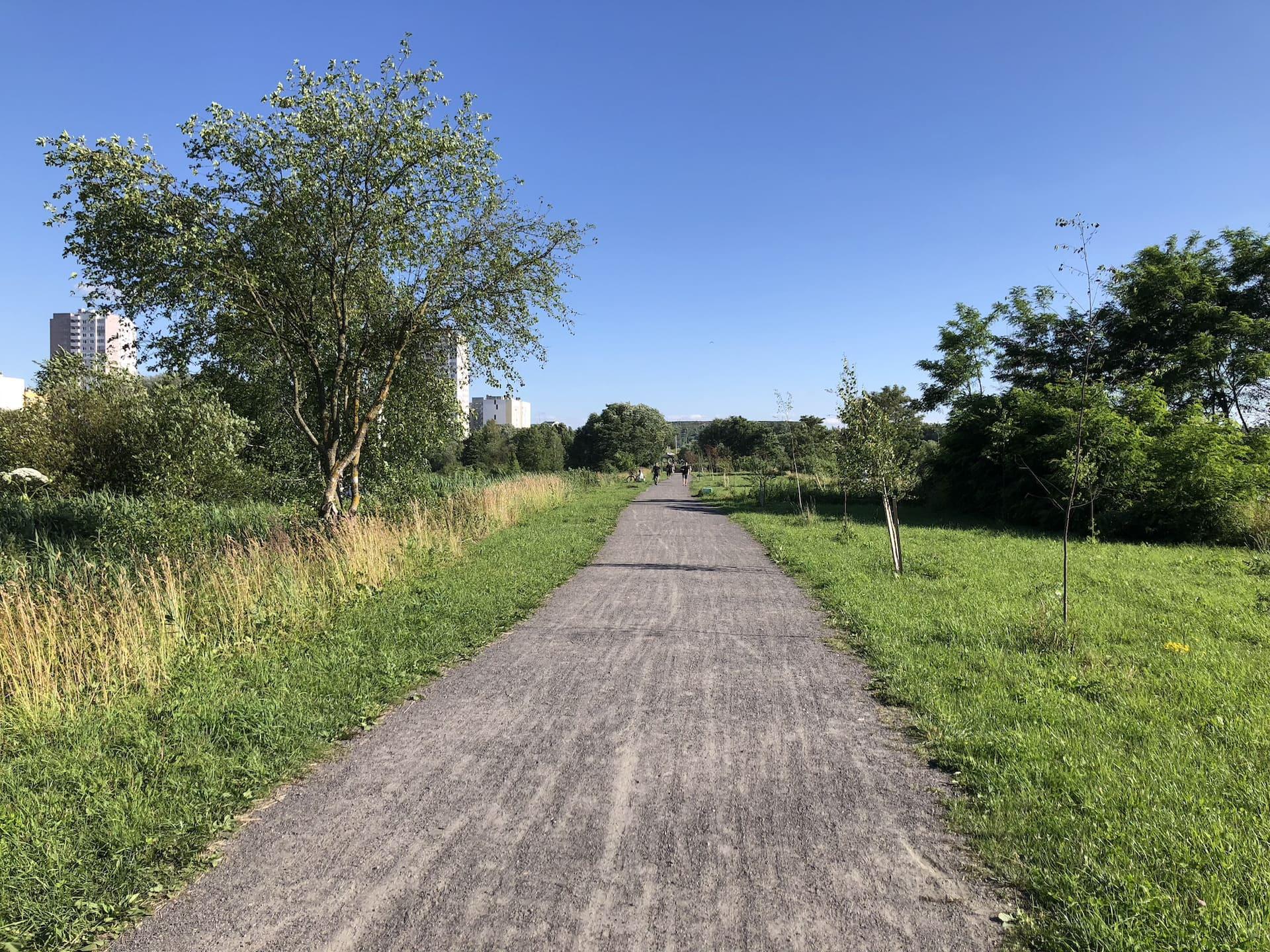 "Malyavki" Ecotrail near the "Great Crested Grebe Island" 1