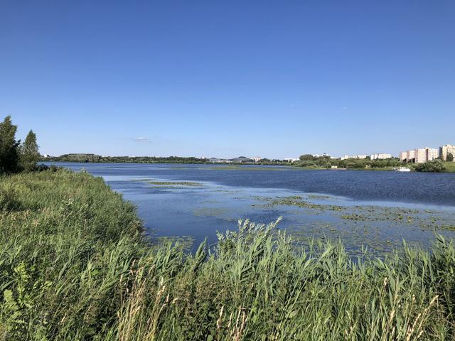 "Malyavki" Ecotrail near the "Great Crested Grebe Island" Entity photo 2