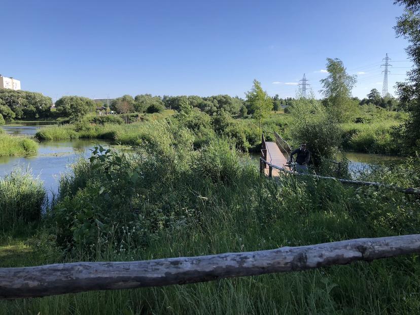 "Malyavki" Ecotrail near the "Great Crested Grebe Island"