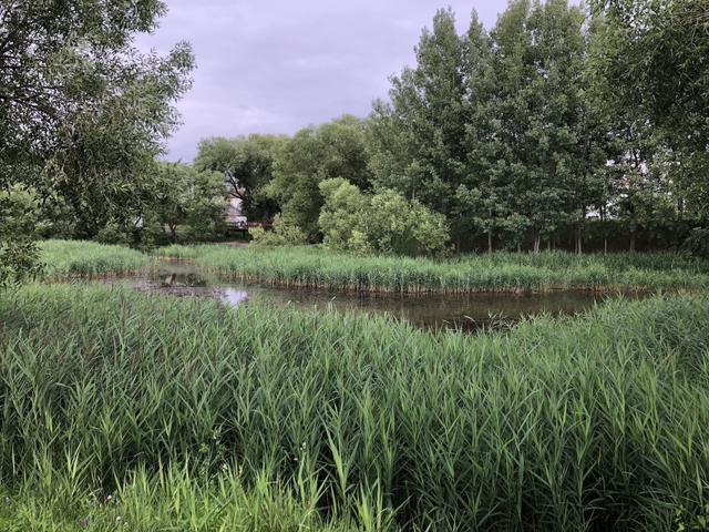 Lake on Kamayskaya Street Entity photo 1