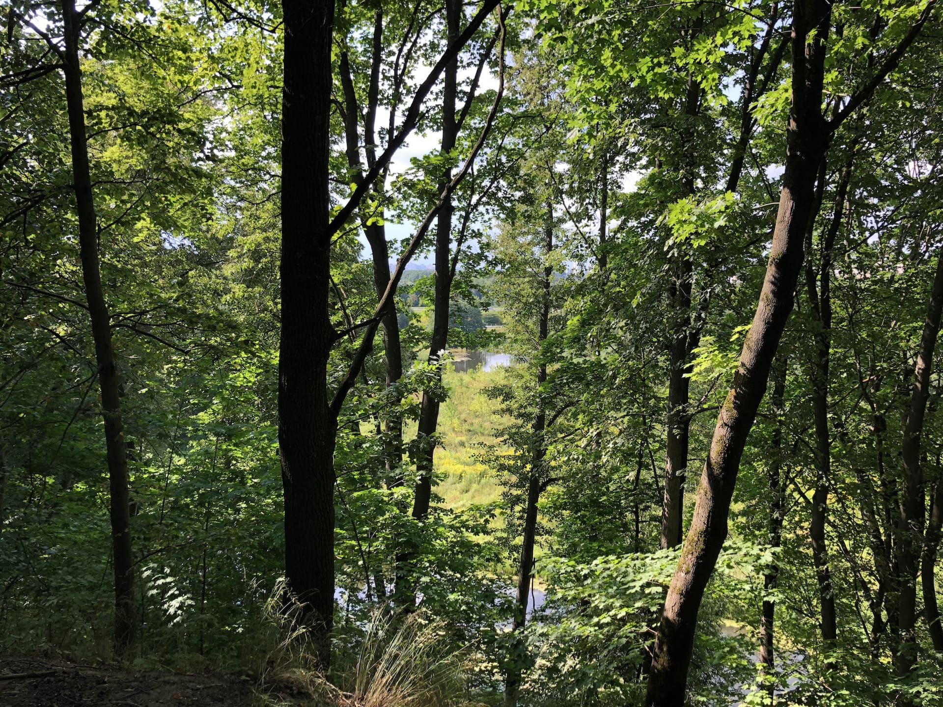 Krasnaya Sloboda Park 9