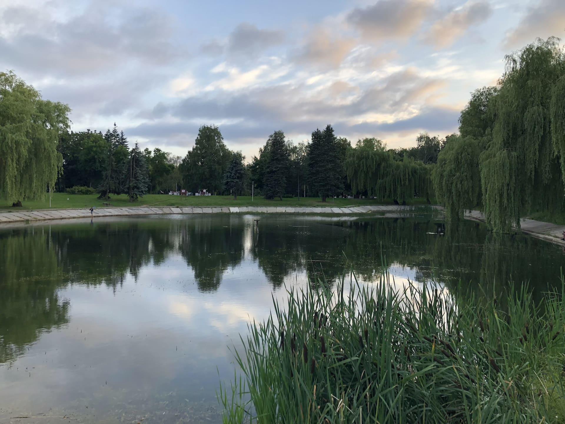 Lake in Tuchinsky Square 1