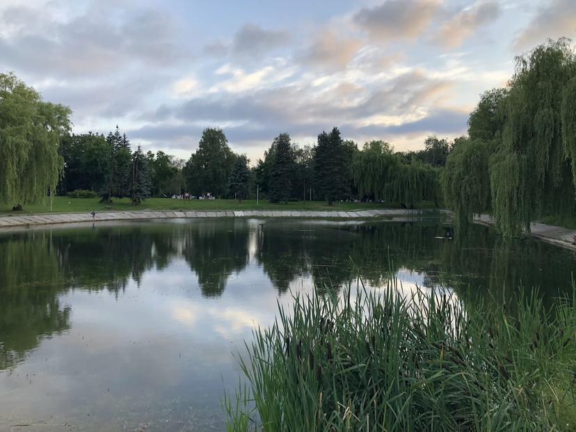 Lake in Tuchinsky Square