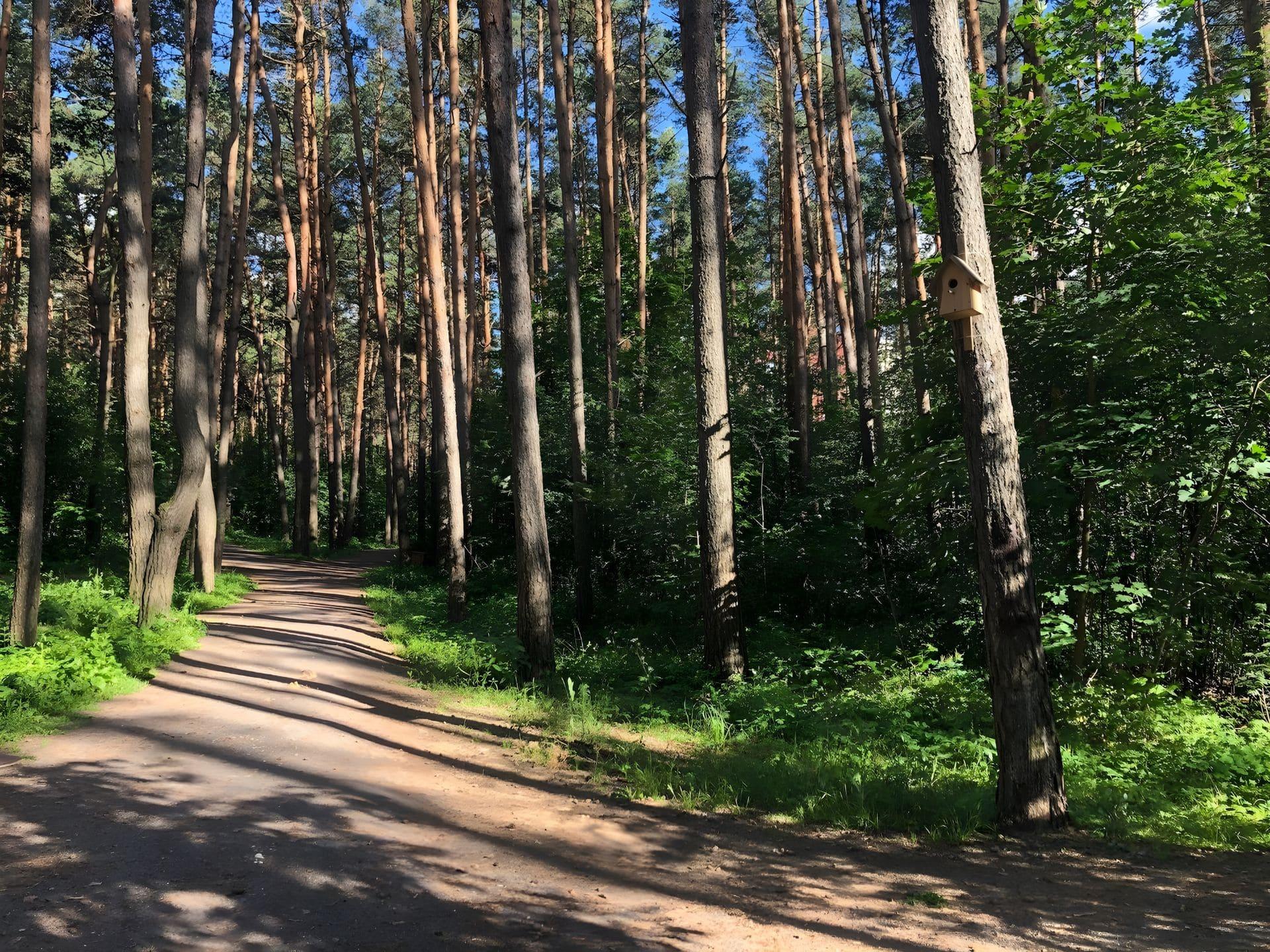 Recreation Area "Forest Trails" 1