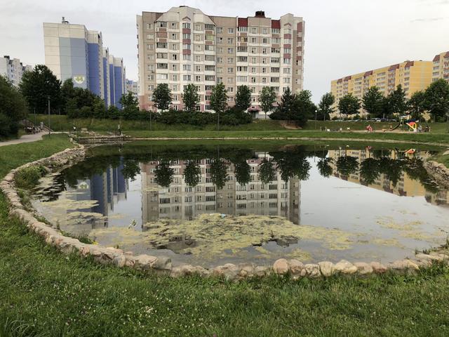 Lake in Parsyuchenko Park Entity photo 2