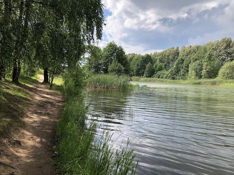 Экотропа "В Гармонии С Природой"