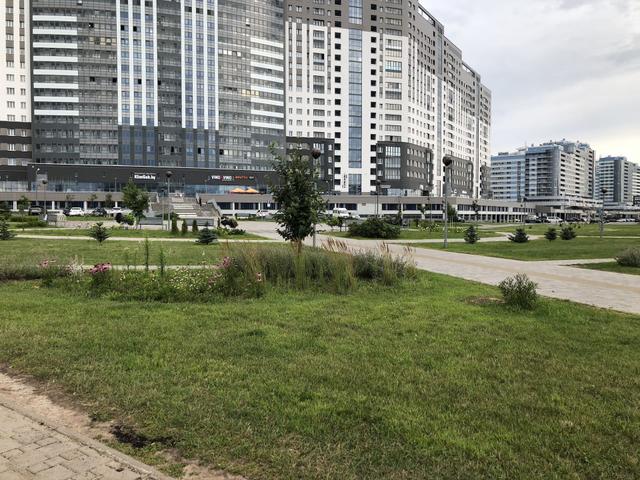 Square next to "Lazurit" Residential Complex Entity photo 0