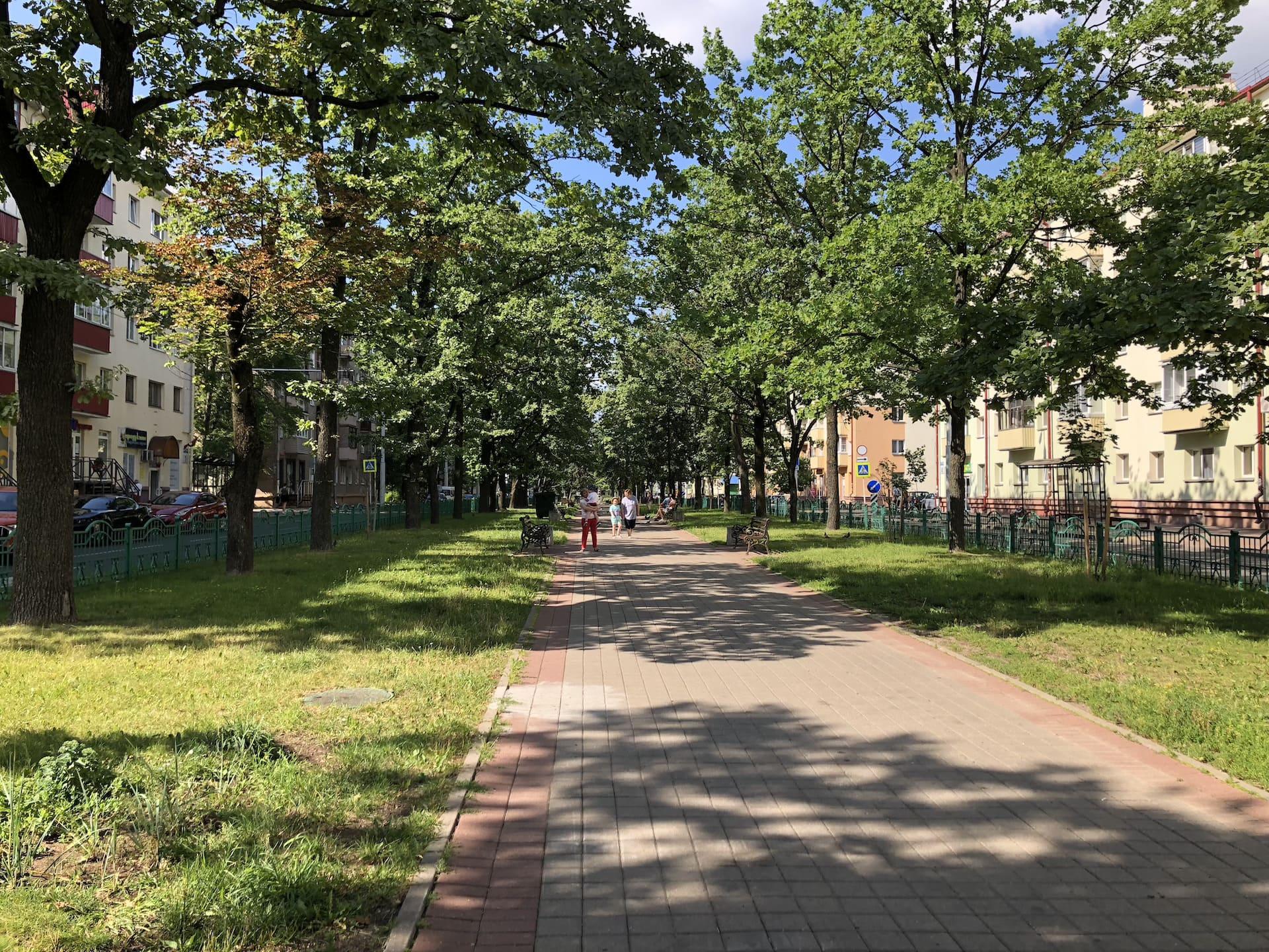 Shevchenko Boulevard 1