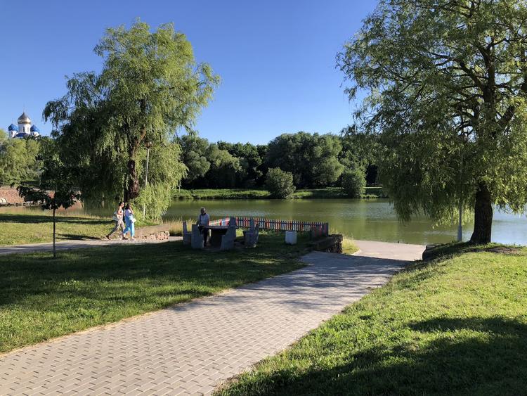 Tsnyansky Park