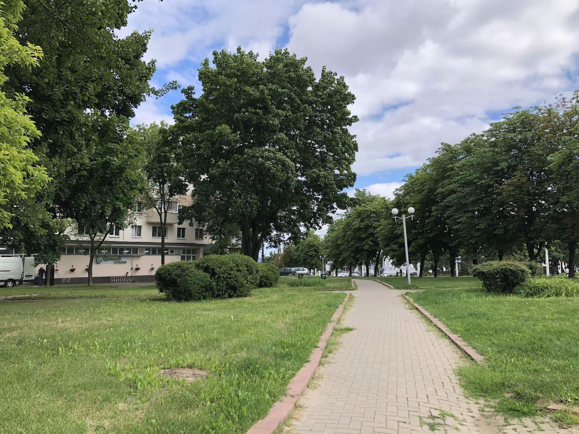 Olshevsky Square 1