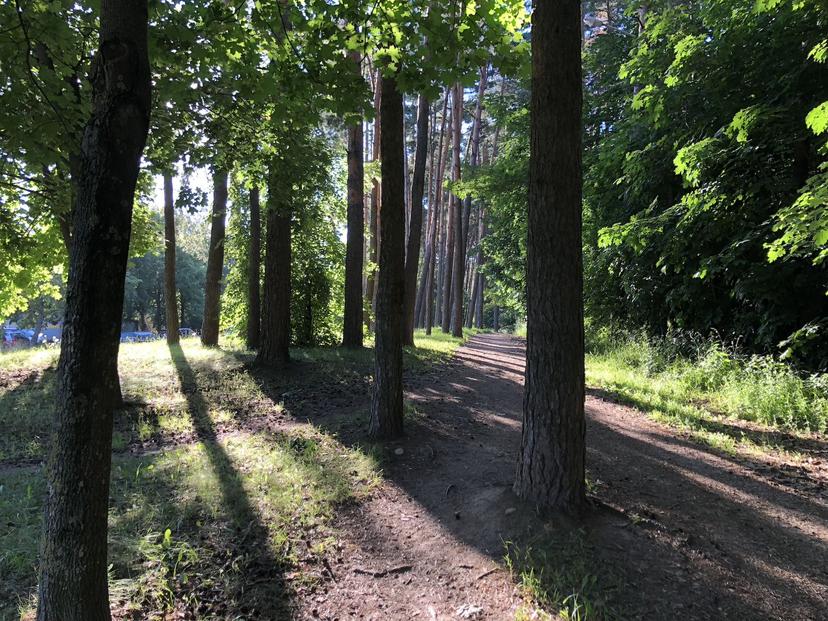 Green Meadow Forest Park