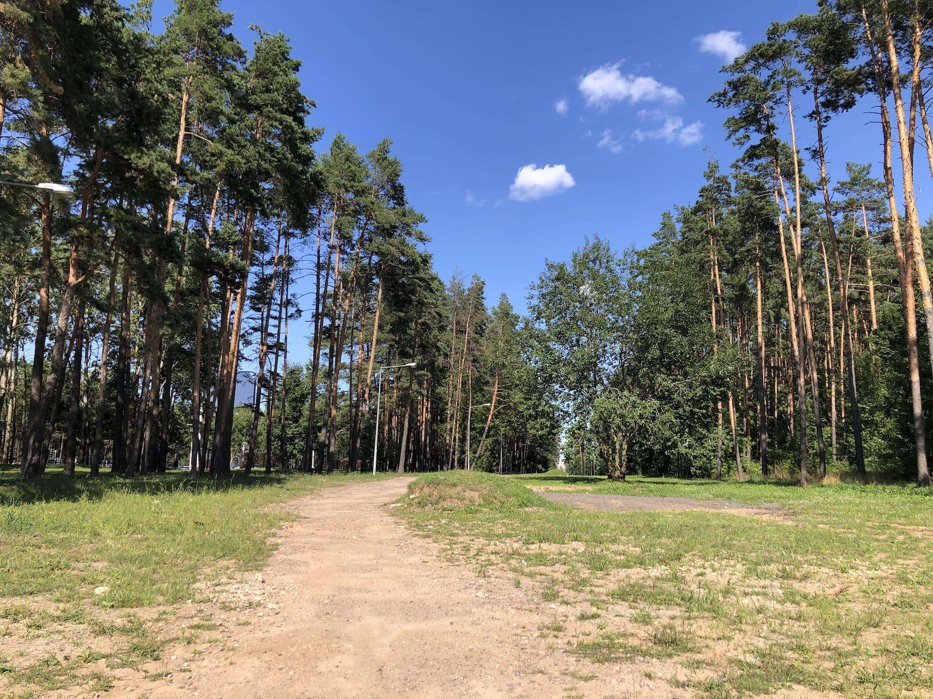 Forest Park behind First National Trading House 2