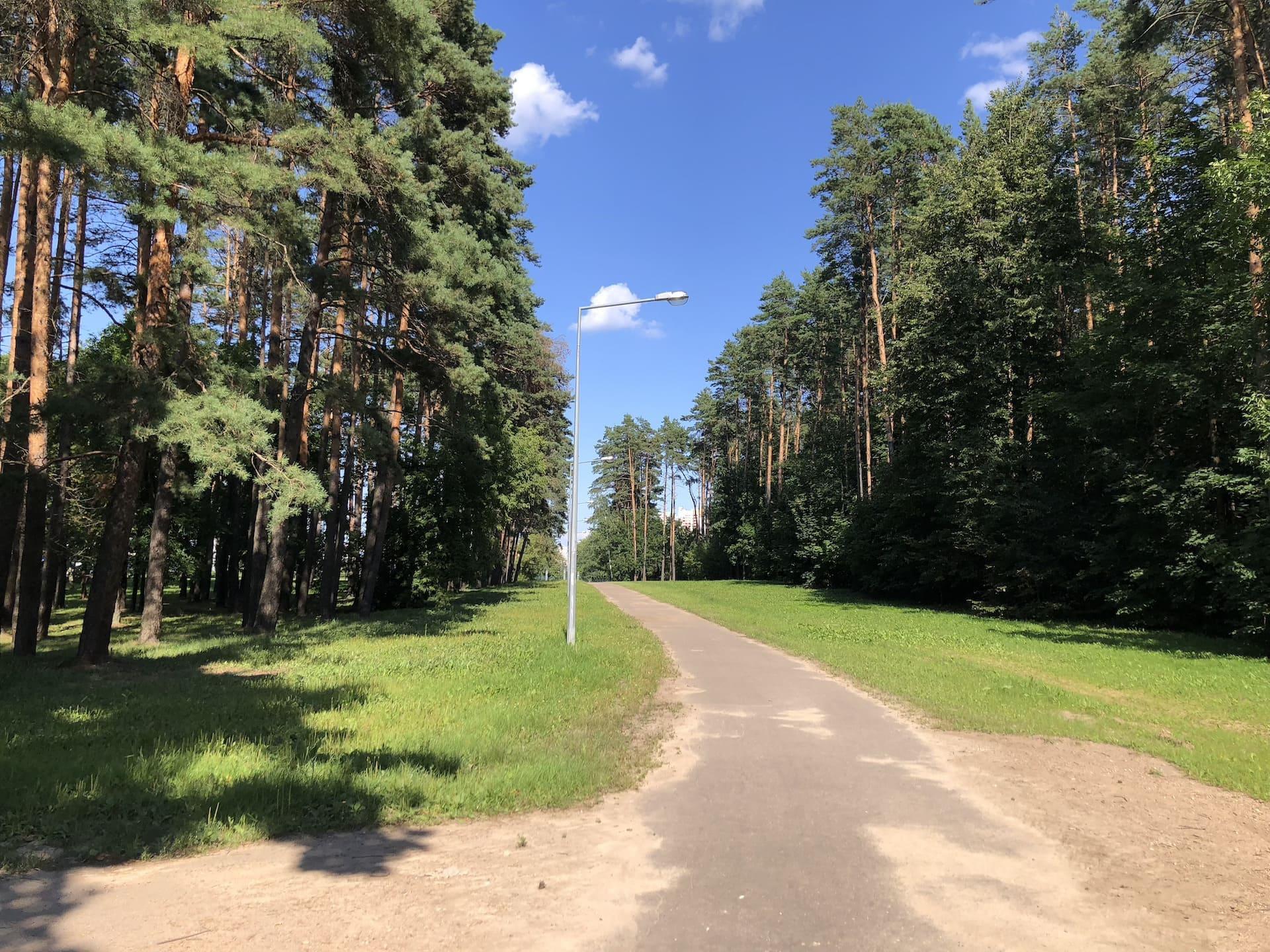 Forest Park behind First National Trading House 3