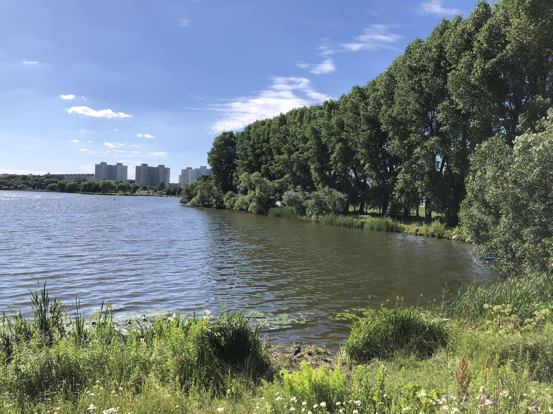 Чижовское водохранилище 2