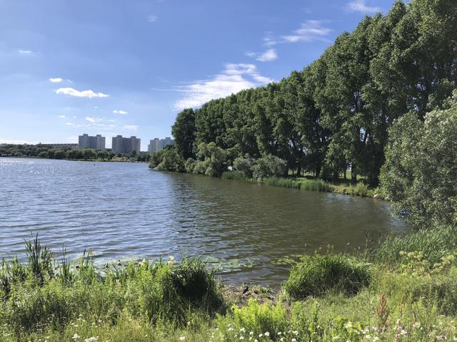 Chizhovskoye Reservoir Entity photo 2