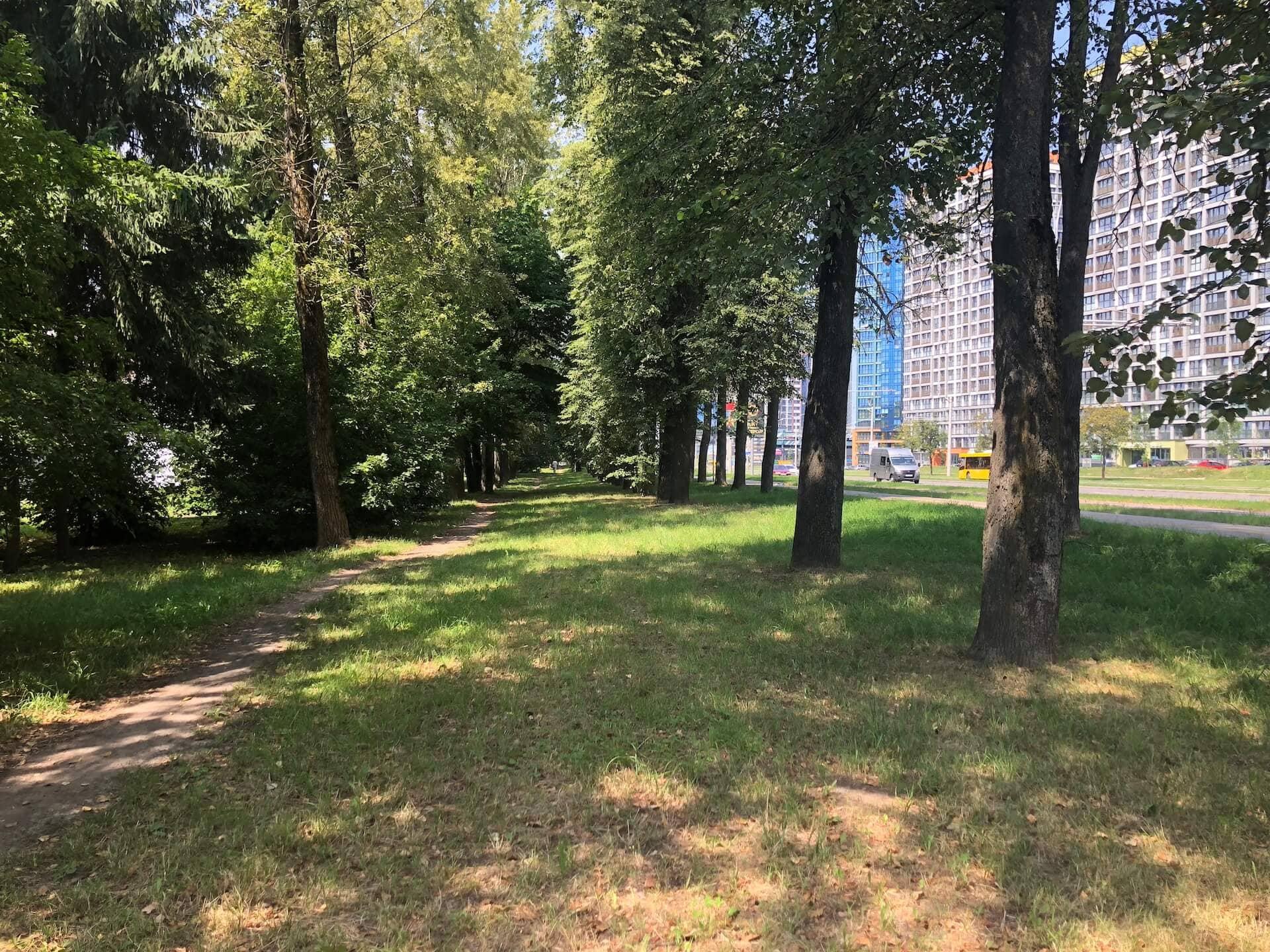 Forest on Kizhevatova Street 1