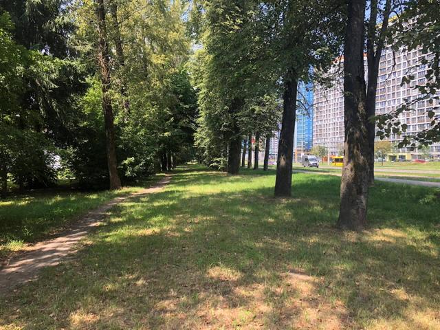 Forest on Kizhevatova Street Entity photo 1