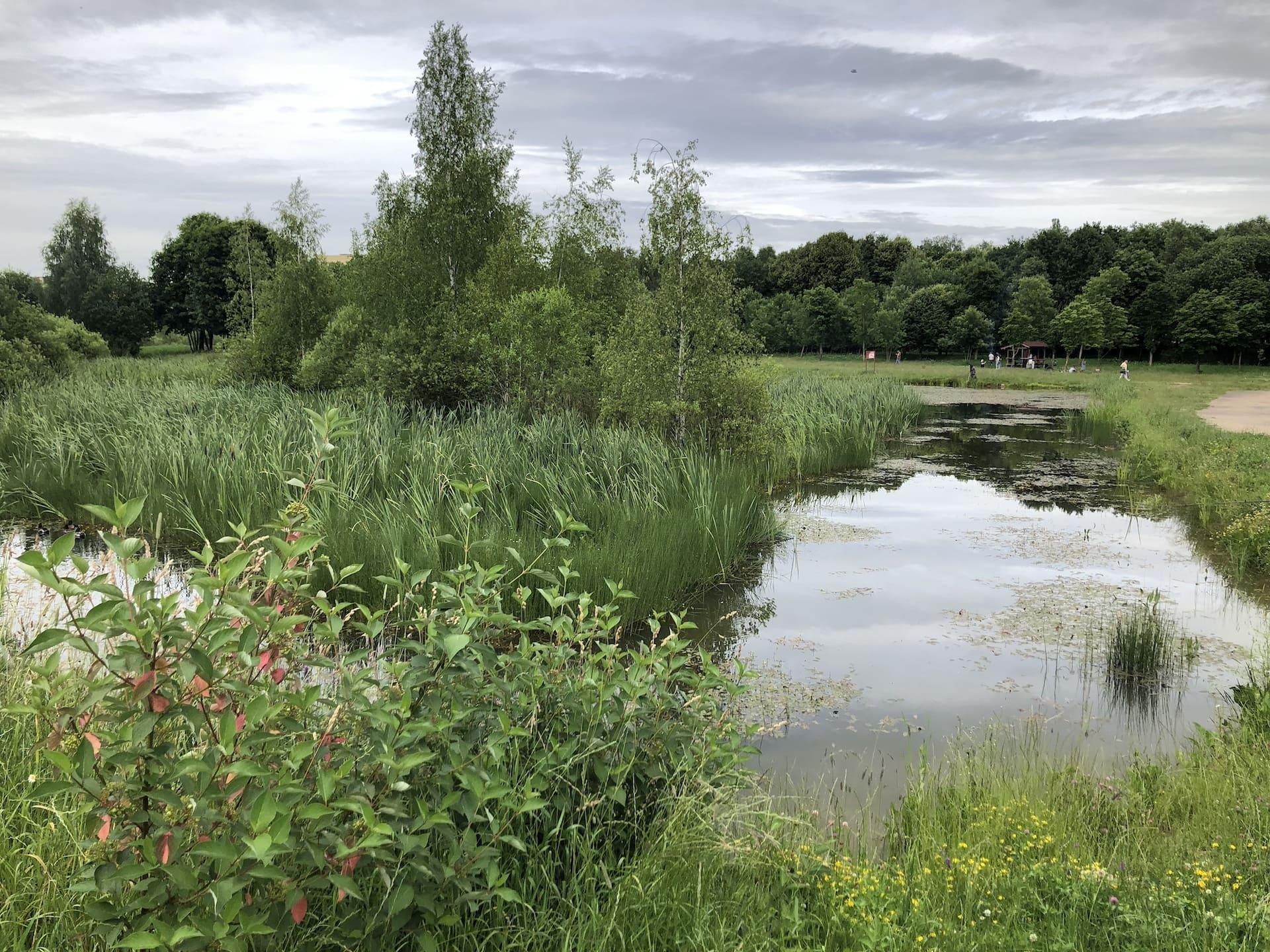 Lake in the Tivali Park 1