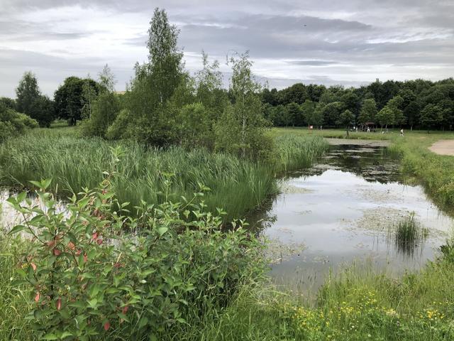 Lake in the Tivali Park Entity photo 1