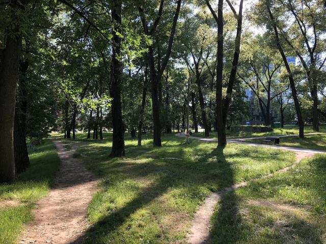 Jewish Memorial Park Entity photo 0