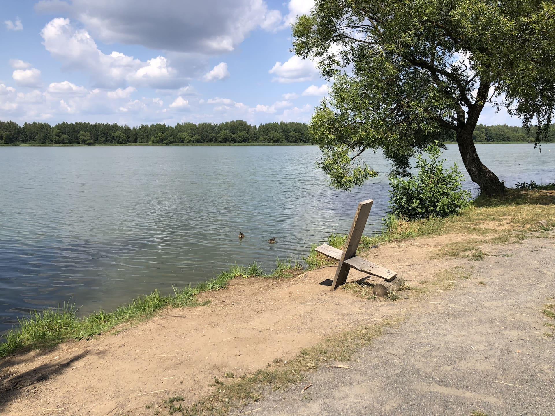 Fisherman's Trail at the Drozdy Reservoir 10