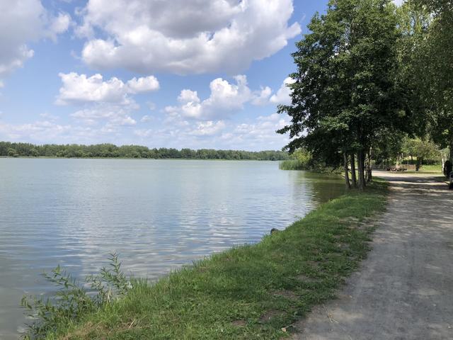 Тропа рыбака на водохранилище Дрозды Фото объекта 2