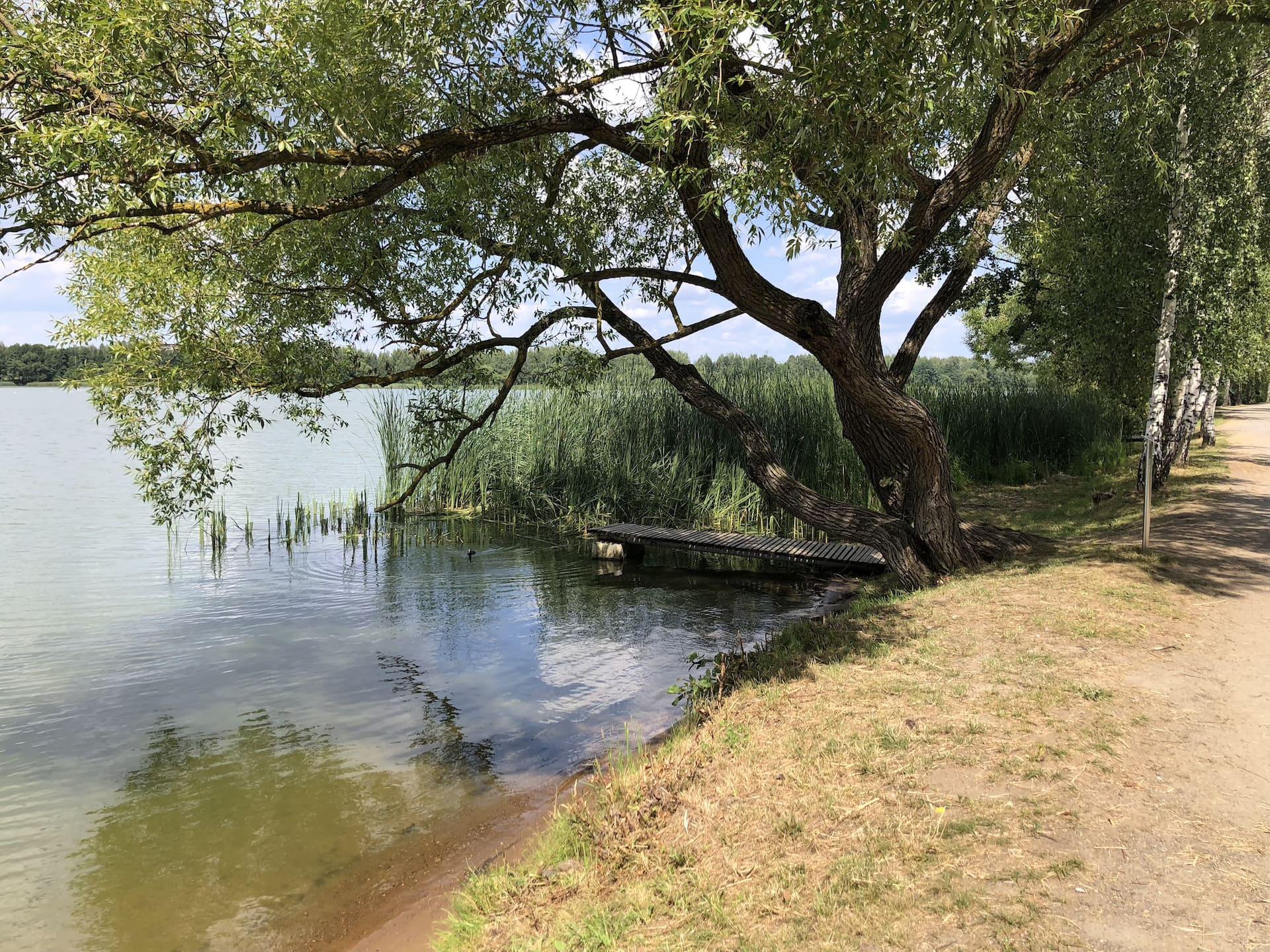 Fisherman's Trail at the Drozdy Reservoir 6