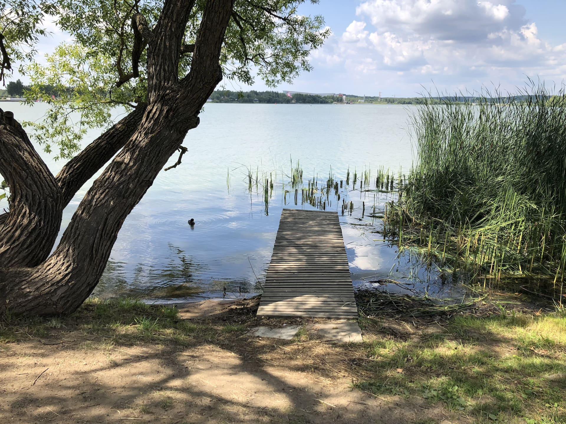 Тропа рыбака на водохранилище Дрозды 7