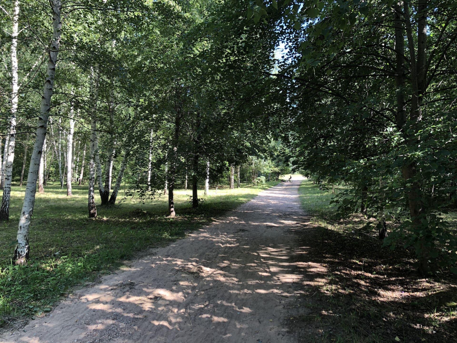 Forest Park behind the Boulder Museum 0