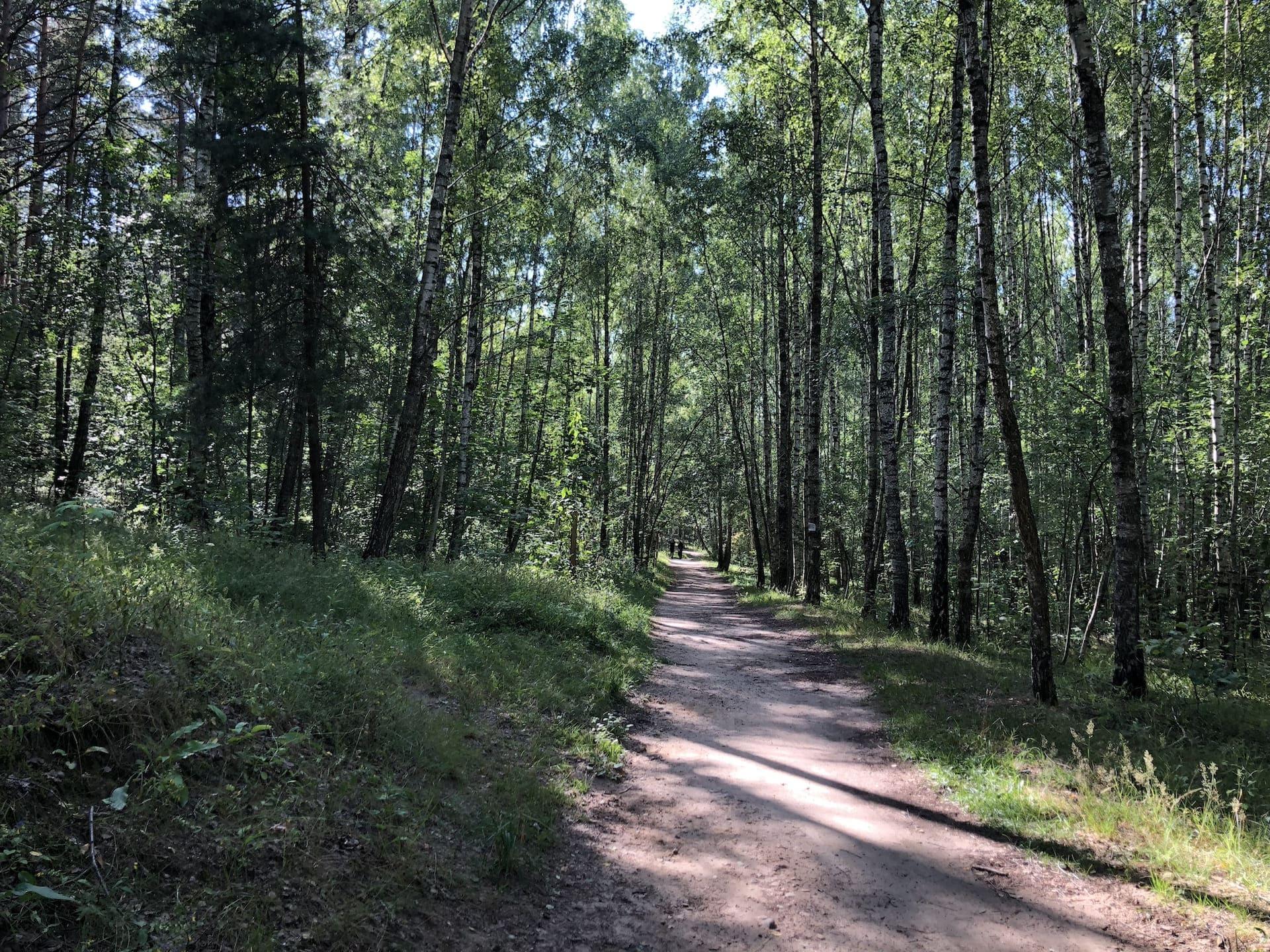 Forest Park behind the Boulder Museum 1