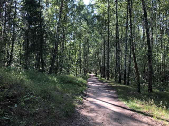 Forest Park behind the Boulder Museum Entity photo 1