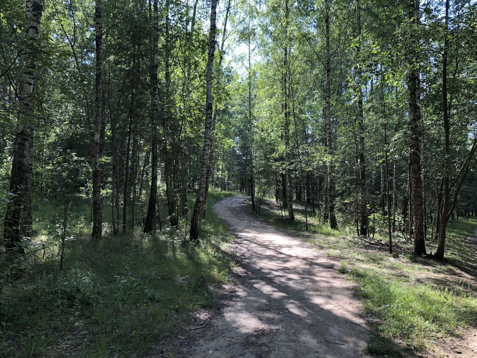 Forest Park behind the Boulder Museum 2