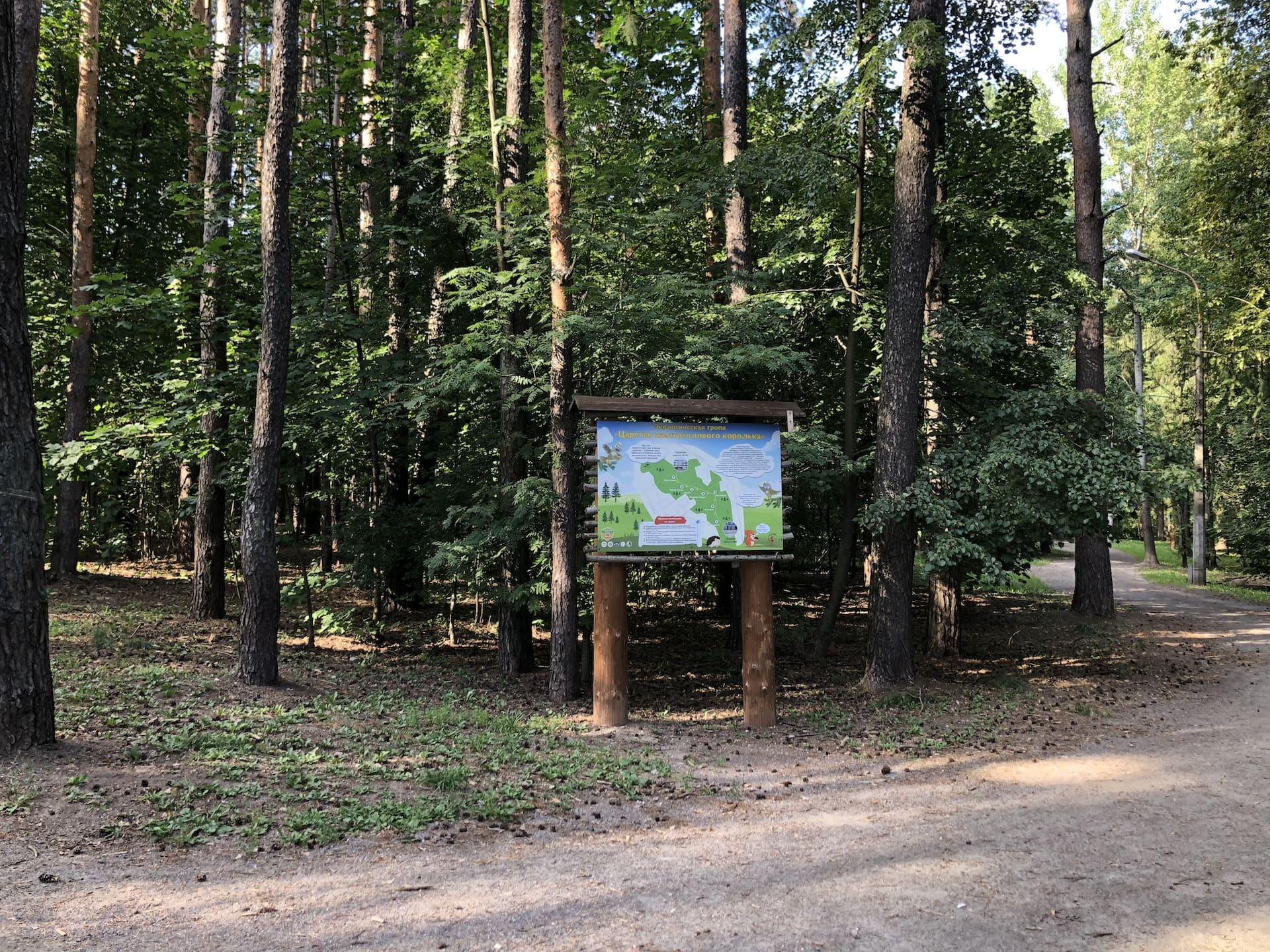 “黄头王鹟王国”生态步道 1