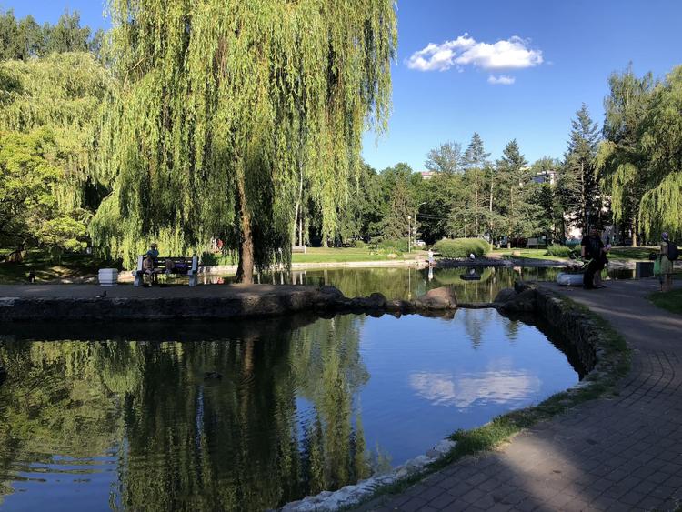 Lake in the Park of the 60th Anniversary of the Great October