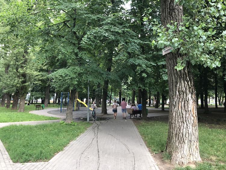 Grushevsky Square