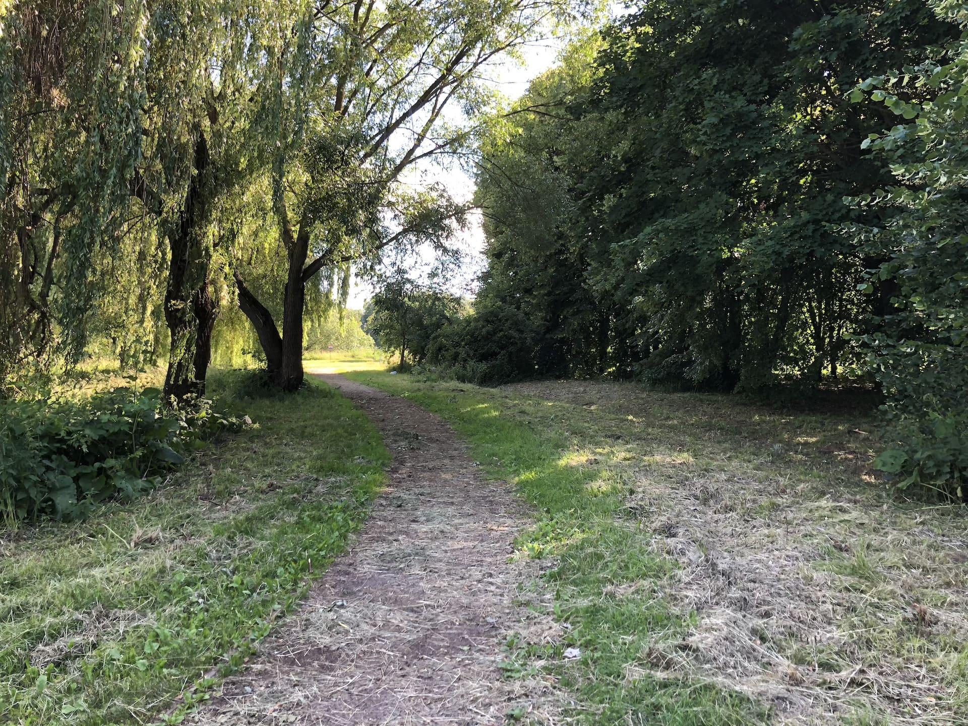 Nadezhda Grekova Park 10