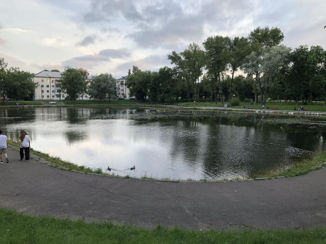 Lake in Malomedvezhinsky Square Entity photo 2