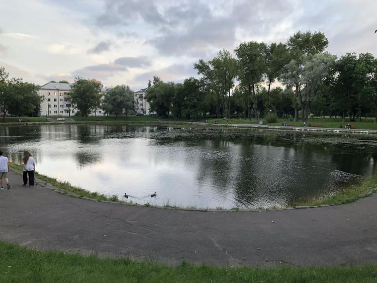 Lake in Malomedvezhinsky Square