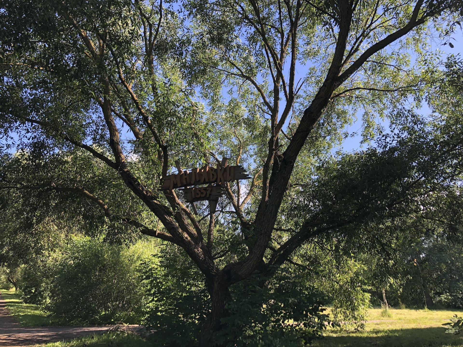 The "Malyavki" Ecotrail in N. Grekova Park 1