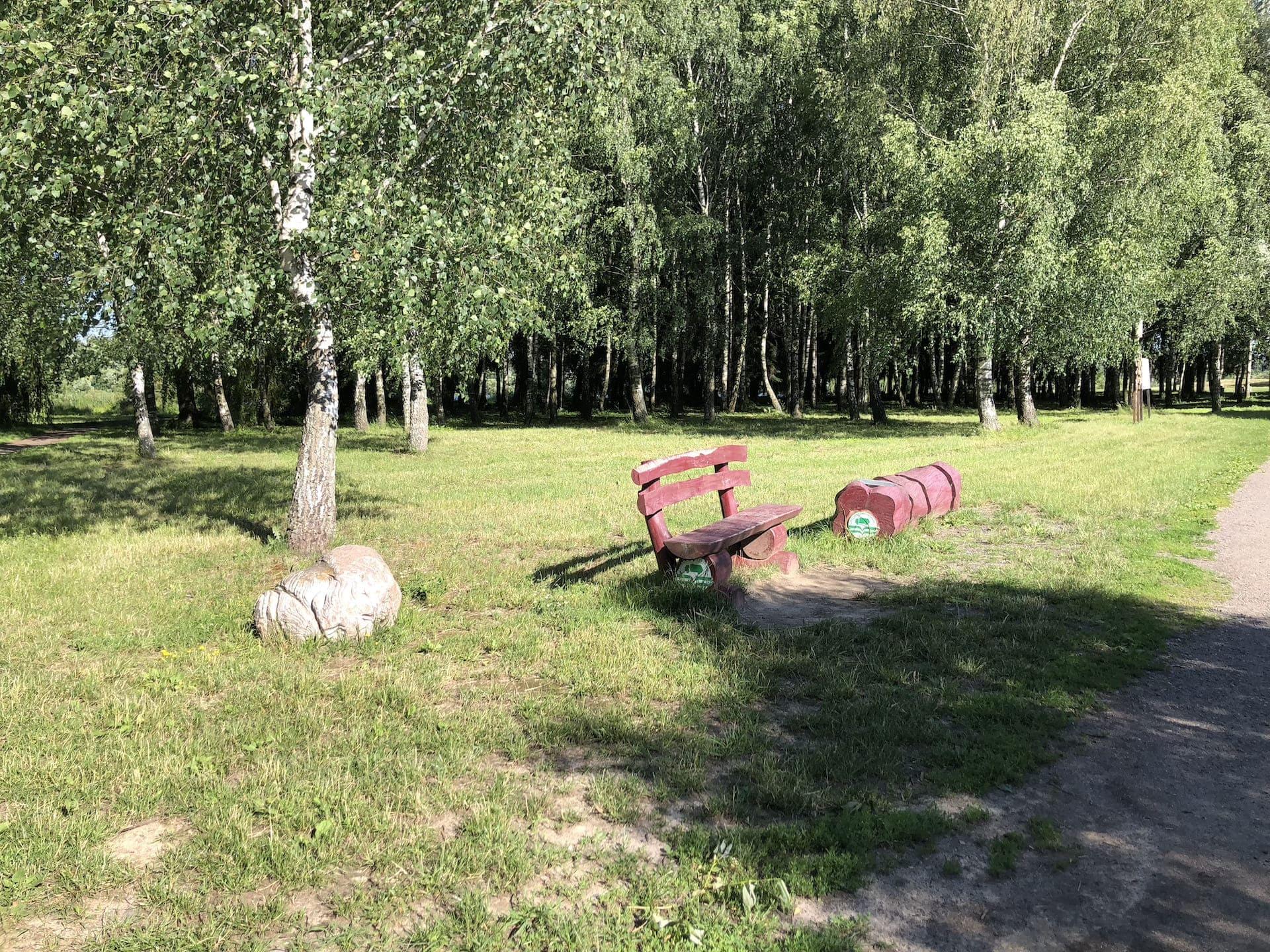 The "Malyavki" Ecotrail in N. Grekova Park 2