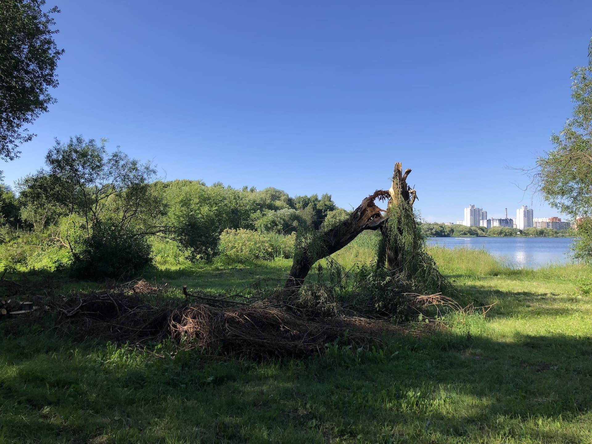 The "Malyavki" Ecotrail in N. Grekova Park 6