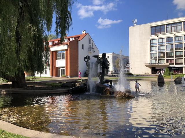 Fountain "Youth" Entity photo 0