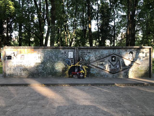 Tsoi Wall Entity photo 0