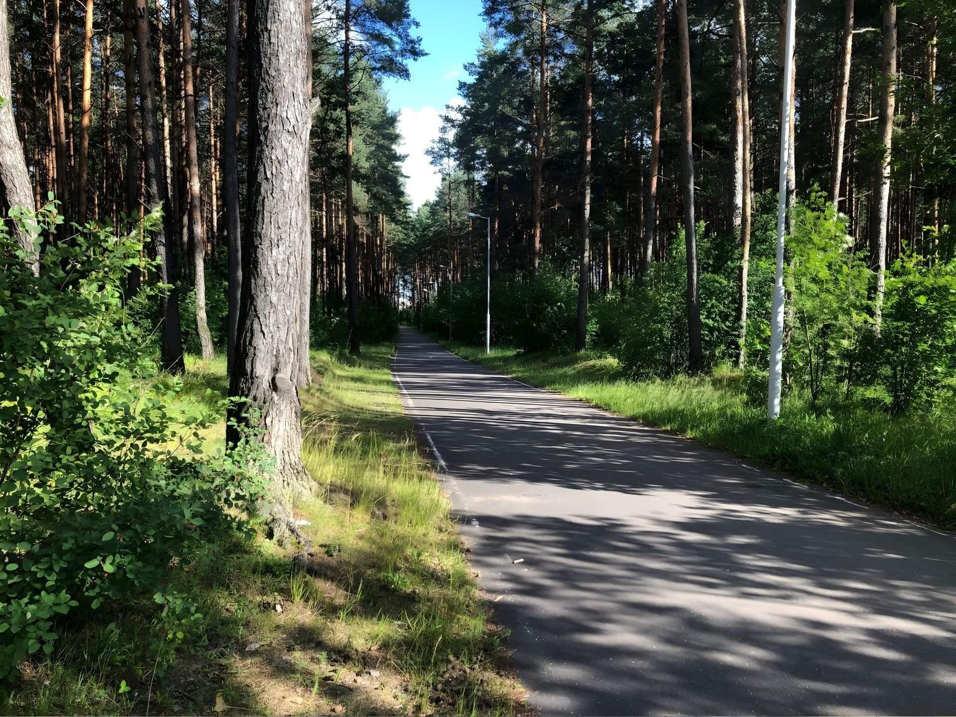 Roller Ski Track in Drazhne 11