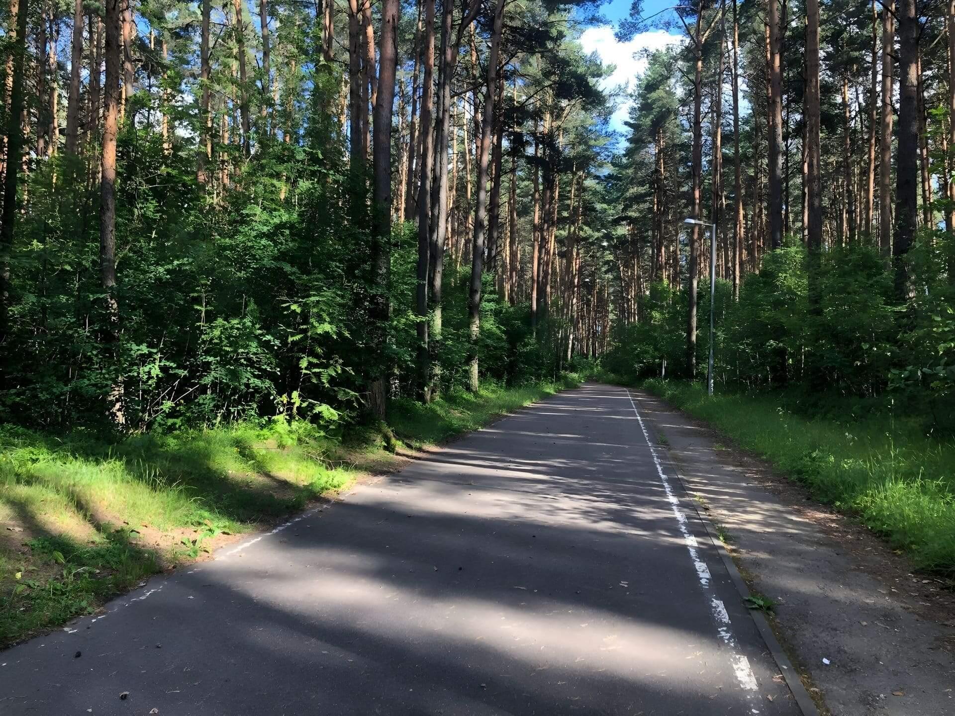 Roller Ski Track in Drazhne 10