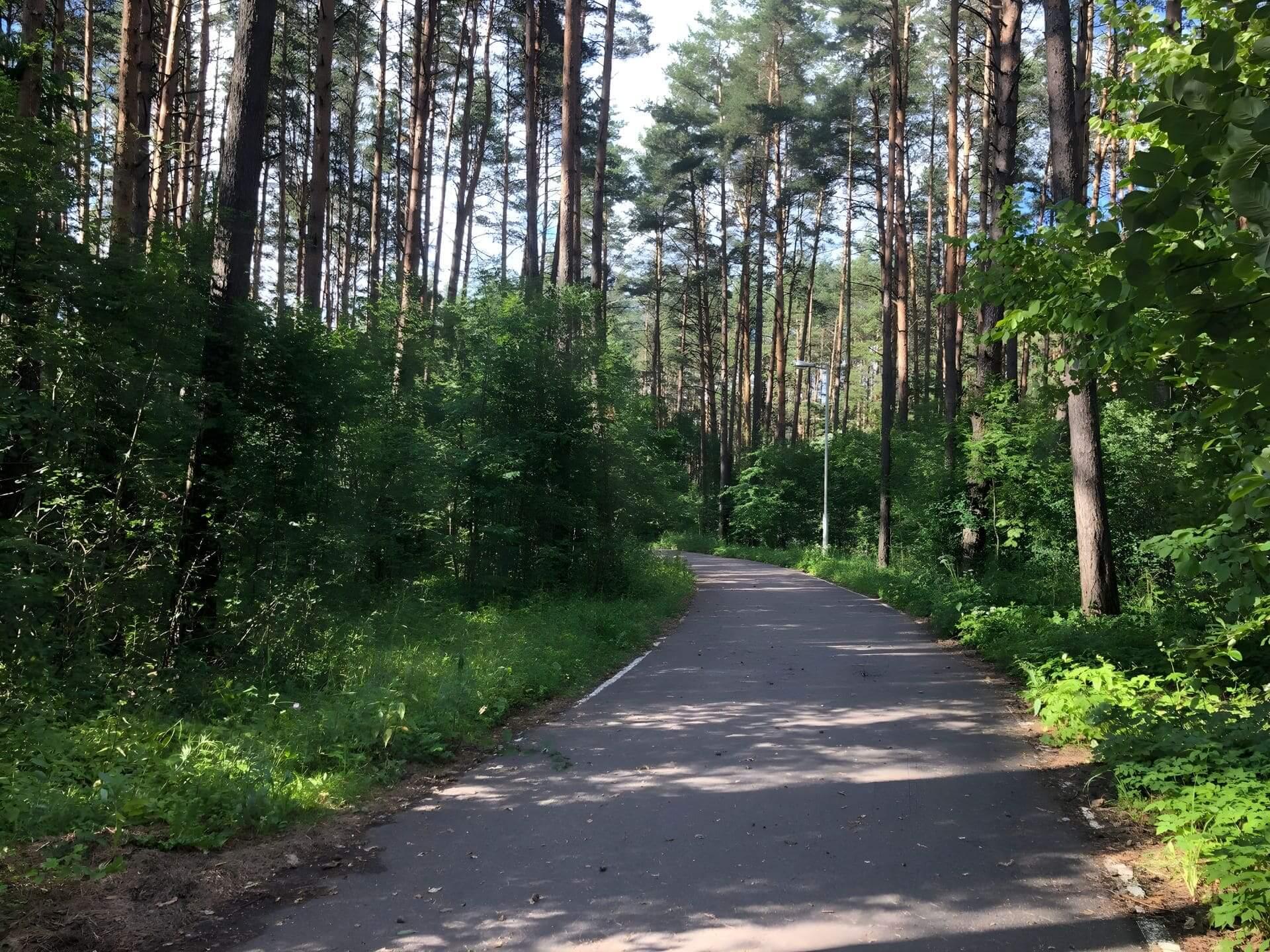 Roller Ski Track in Drazhne 9