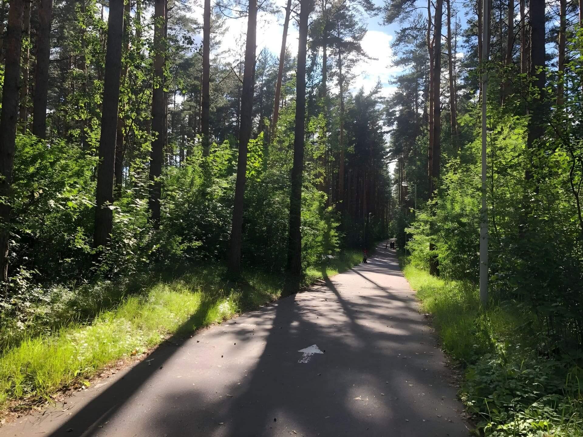 Roller Ski Track in Drazhne 8