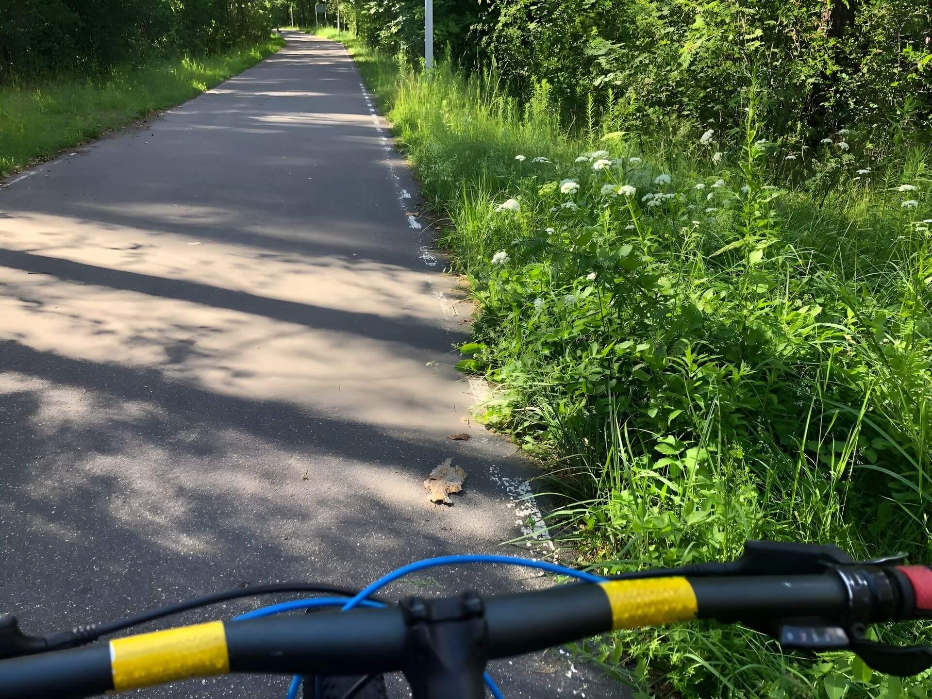 Roller Ski Track in Drazhne 3