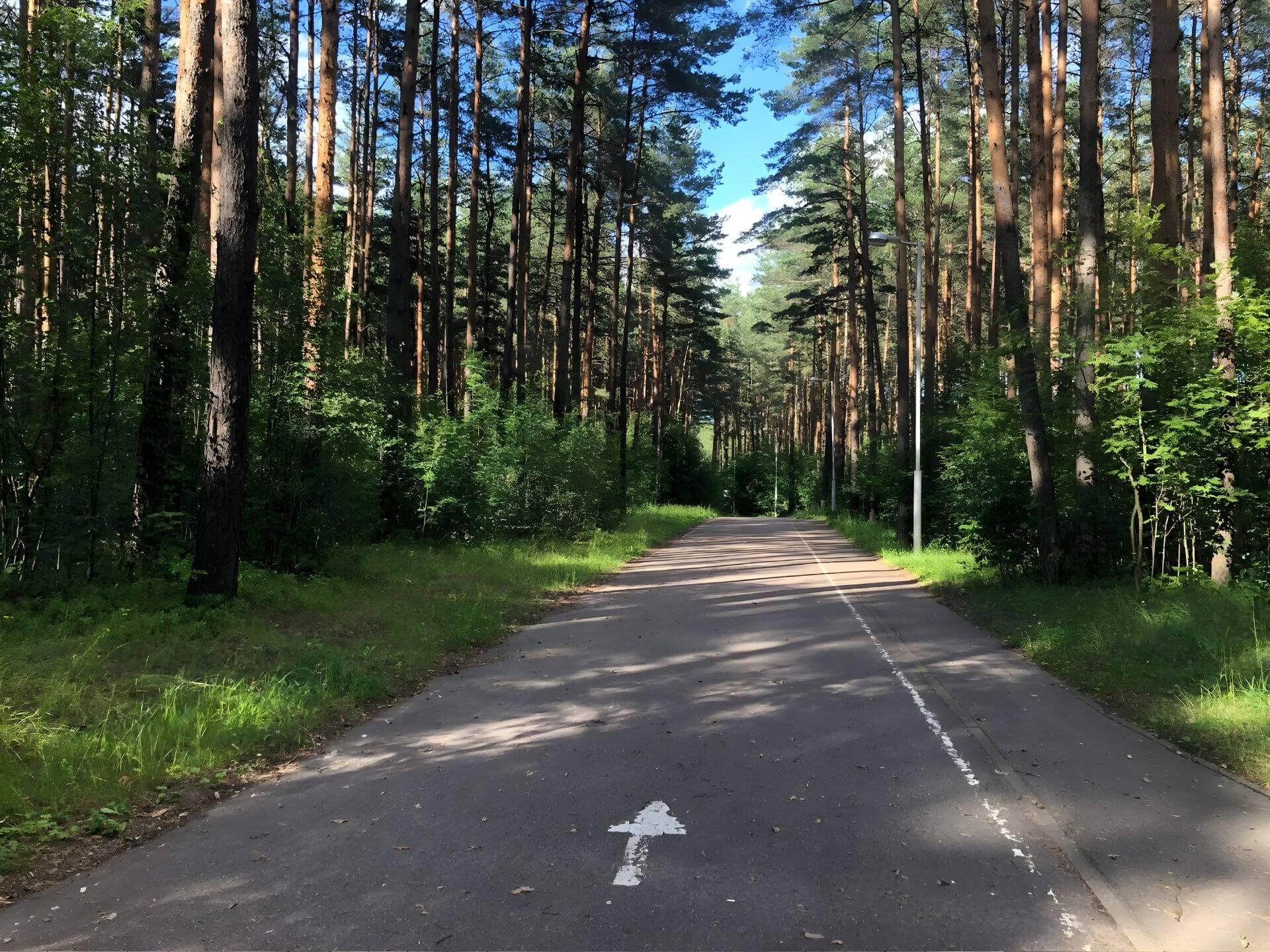 Roller Ski Track in Drazhne 2